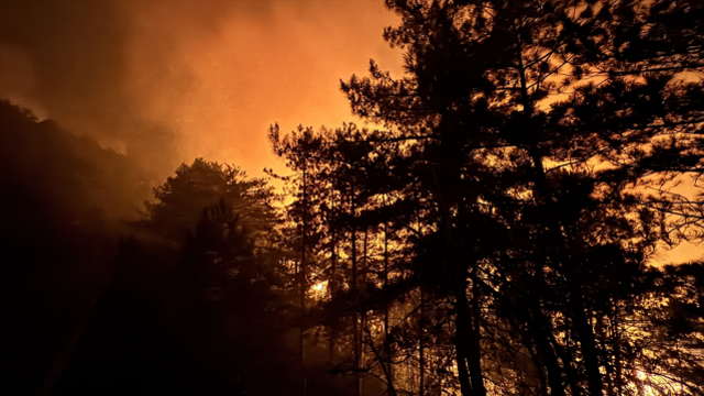 Sakarya yangını son durum ne? Sakarya orman yangını söndürüldü mü?