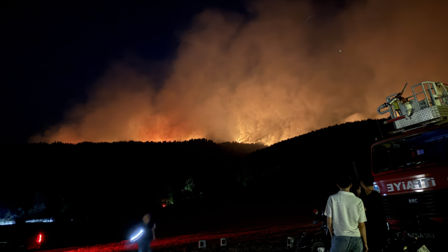 Sakarya'dan Bilecik'e sıçrayan yangın büyüyor! Akaryakıt istasyonu tahliye edildi