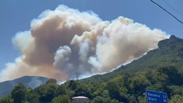 Sakarya'da yeni orman yangını! Karayolu ulaşıma kapatıldı