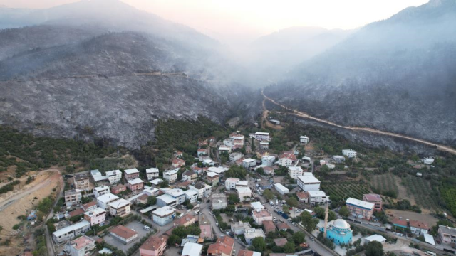 Bursa'daki orman yangınında son durum!