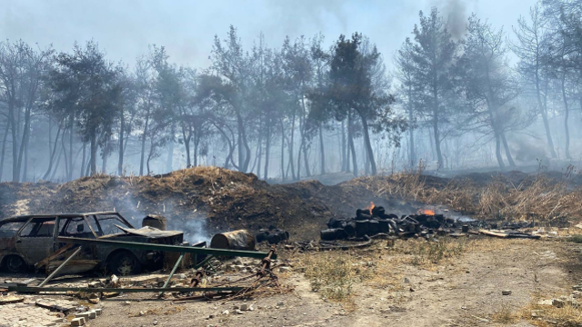 Bir orman yangını da İzmir'de! Bornova'da başlayıp Buca'ya sıçradı