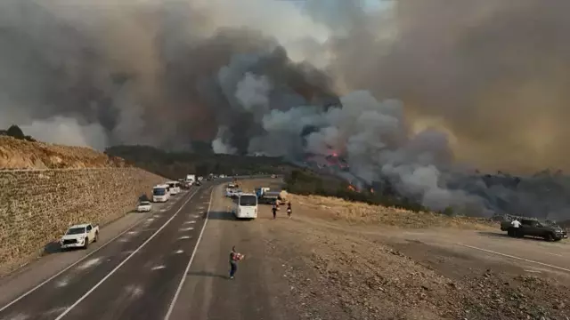 Bir orman yangını da İzmir'de! Bornova'da başlayıp Buca'ya sıçradı