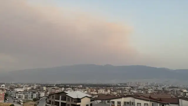 Bursa'daki Orman Yangını Dumanı Kent Merkezine Ulaştı
