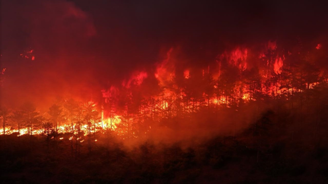 Bursa orman yangını nasıl çıktı?