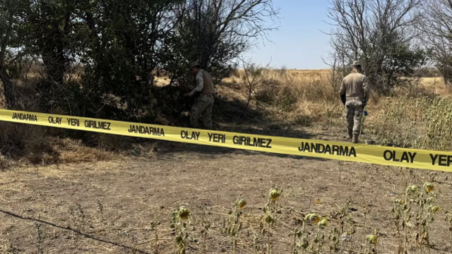 Tarlada başlayan yasak aşk, tarlada bitti