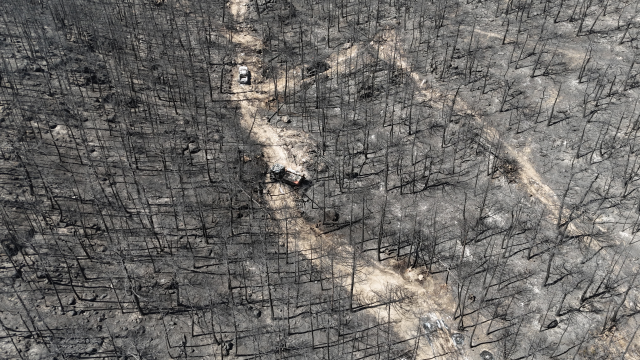 10 orman işçisinin şehit olduğu alan! Araçlar küle dönmüş, yerde sürükleme izleri