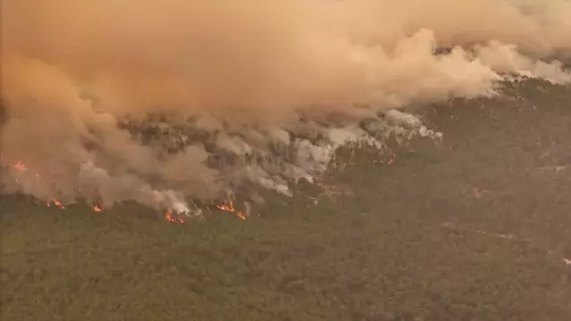 Bursa'da havai fişek atarak yangına sebep olan 4 kişi yakalandı