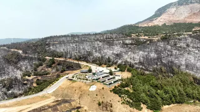 Tarihinin en büyük orman yangınını yaşayan ilçenin son hali: Bu acıyı anlatmaya kelimeler yetmiyor