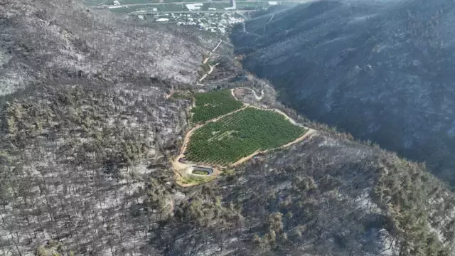 Bursa'yı kül eden alevler bir tek oraya ulaşamadı! Nedeni herkese ders olacak cinsten