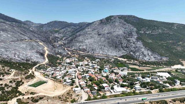 Yeşil Bursa'nın yangın öncesi ve sonrası yürek burktu