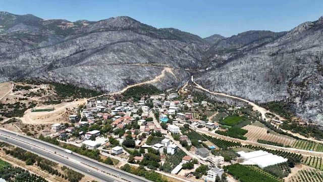 Yeşil Bursa'nın yangın öncesi ve sonrası yürek burktu