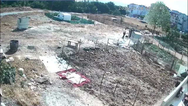 Bir köpeği işkenceyle katletti, diğerinin boğazını sıkıp derisini yüzdü