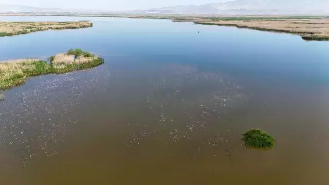 Adım adım göl niteliğini kaybediyor! Son gelen görüntü içler acısı