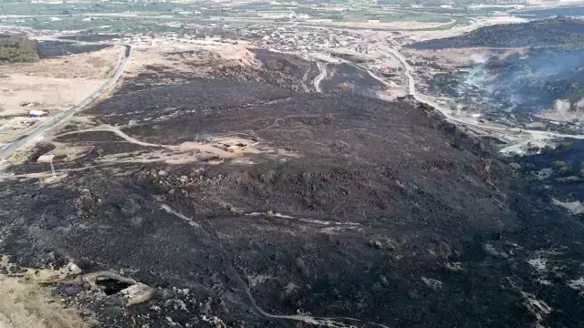 Çanakkale'de Orman Yangını: 1400 Hektar Alan Zarar Gördü