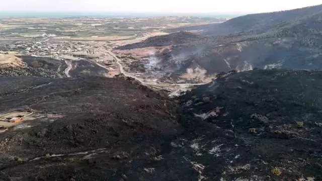 Çanakkale'de Orman Yangını: 1400 Hektar Alan Zarar Gördü