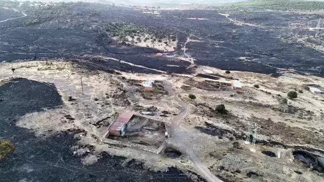 Çanakkale'de Orman Yangını: 1400 Hektar Alan Zarar Gördü
