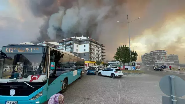 Çanakkale'de Orman Yangını Paniğe Neden Oldu