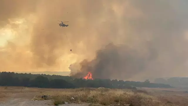 Çanakkale'de Orman Yangını Paniğe Neden Oldu
