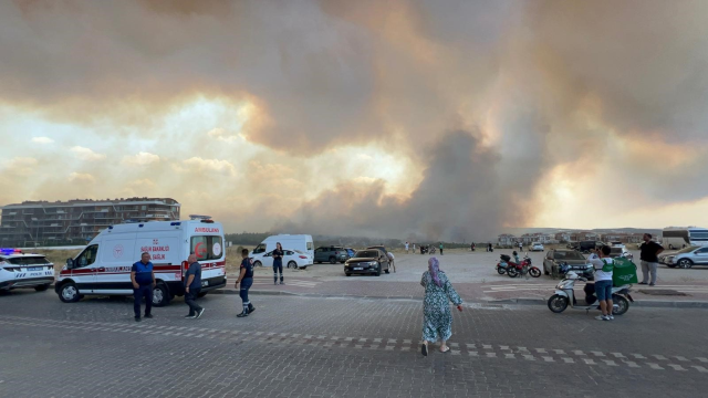 Çanakkale'de Orman Yangını Paniğe Neden Oldu