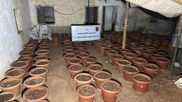 Şanlıurfa'da şok operasyon! Cephanelik gibi evler basıldı