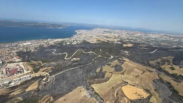 Çanakkale'deki orman yangınları kontrol altına alındı