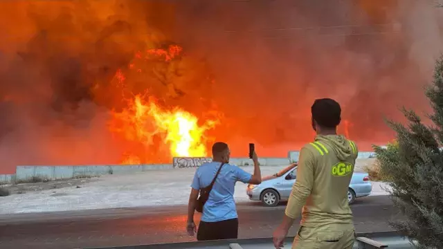 Ciğerlerimiz alev alev! 4 şehrimizde orman yangını
