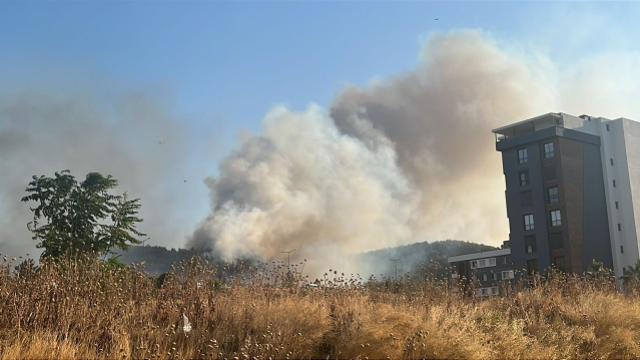İzmir'in Buca ve Aliağa ilçelerinde orman yangını