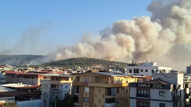 İzmir'in Buca ve Aliağa ilçelerinde orman yangını