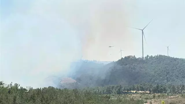 Çanakkale'de yine orman yangını! Kaz Dağları tehdit altında
