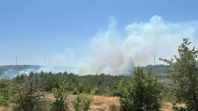 Çanakkale'de yine orman yangını! Kaz Dağları tehdit altında