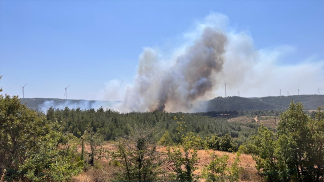 Çanakkale'de yine orman yangını! Kazdağları tehdit altında