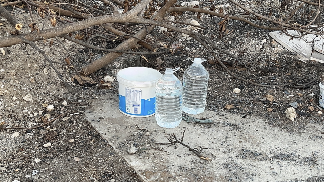 İzmir'de yanan araçtan ormana sıçrayan yangın kontrol altına alındı