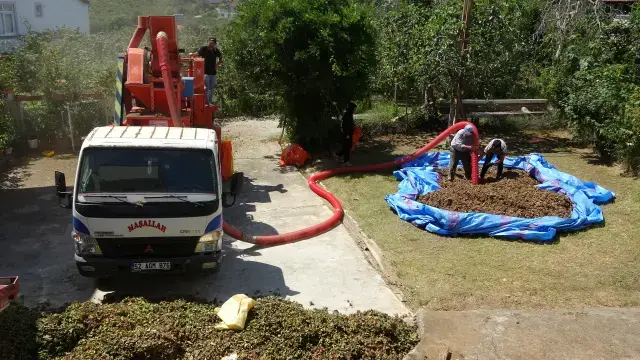 Hasat Üretimi
