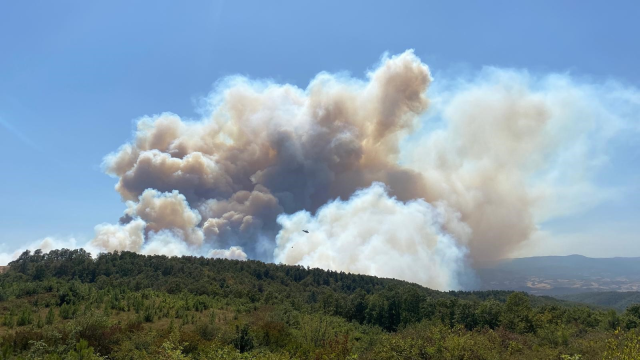 5 ilde orman yangını, alevler yerleşim yerlerine kadar ulaştı