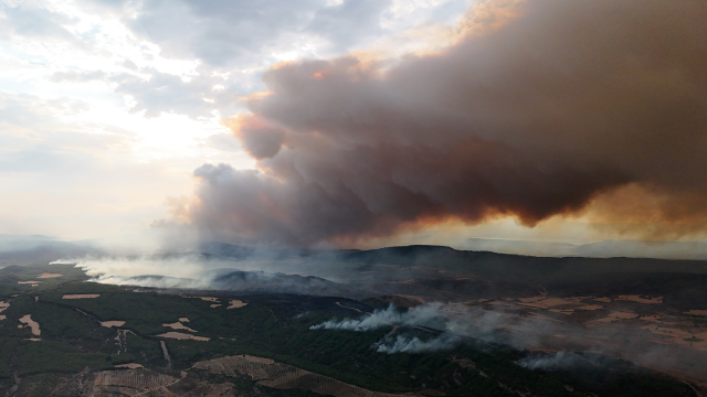 Çanakkale'de alev savaşçılarının zorlu mücadelesi kamerada