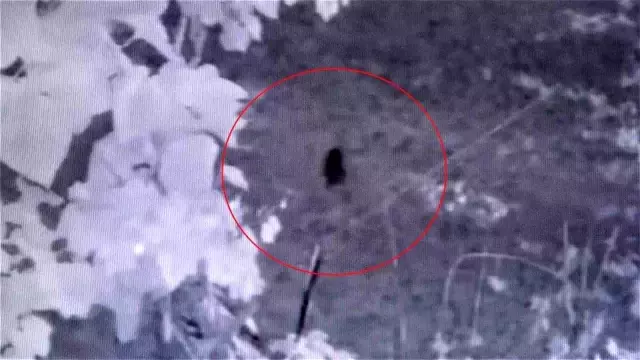 Fındığının &ccedil;alındığını sandı, kameraları izleyince şoke oldu