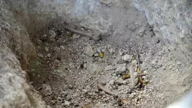 'Ermeni mezarlığı' diyerek kazdılar! Yakınlarının kemiklerini dışarıda bulan mahalleli büyük tepki gösterdi.