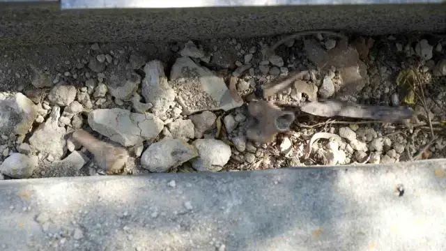 'Ermeni mezarlığı' diyerek kazdılar! Yakınlarının kemiklerini dışarıda bulan mahalleli büyük tepki gösterdi.