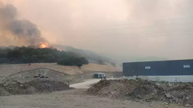 Bursa'da orman yangını: Alevler hayvan çiftliklerine doğru ilerliyor