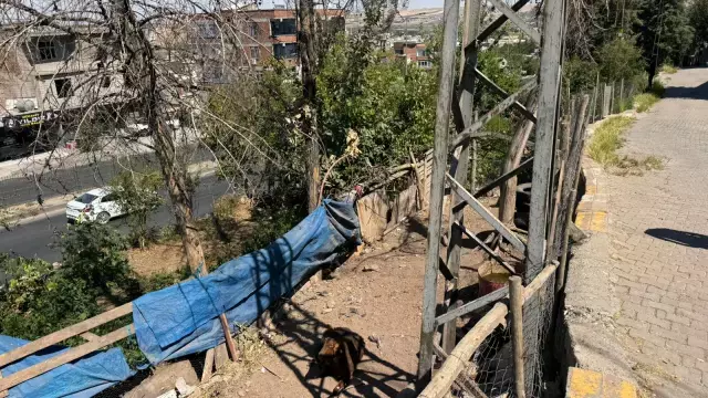 22 yaşındaki genç keçiye dokunduğu an elektrik akımına kapılarak hayatını kaybetti