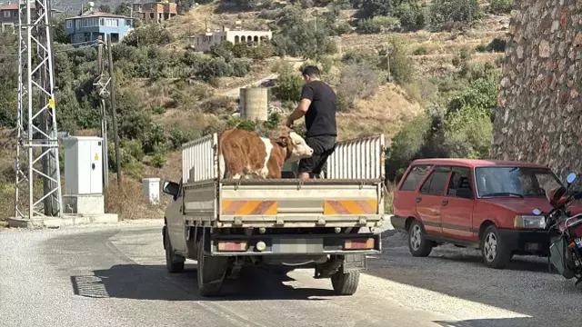Antalya'daki orman yangını yerleşim yerlerine ulaştı! Onlarca ev tahliye edildi