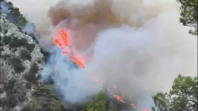 Antalya ve Bursa kabusu yaşıyor! Alevler yerleşim yerlerine ulaştı