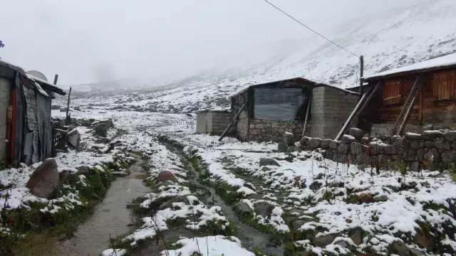 Kar erken geldi, çobanlar sürülerini güvenli bölgelere indiriyor