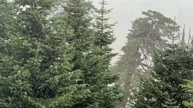 Bolu yüksek kesimlerinde kar yağışı