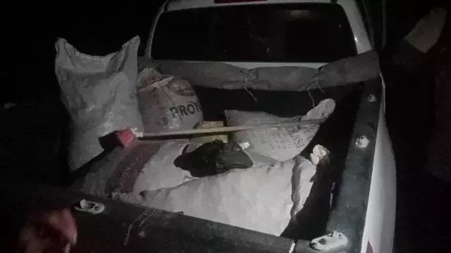 Endemik dağ sarımsağı toplayan kişiye 557 bin lira ceza