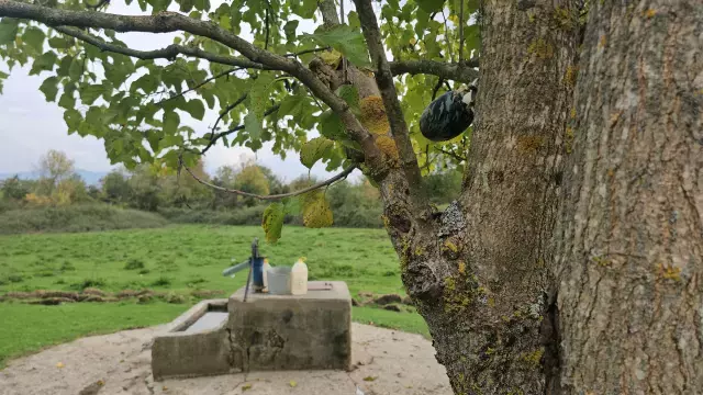 Katil Zanlısı ile İlgili Şok Detaylar