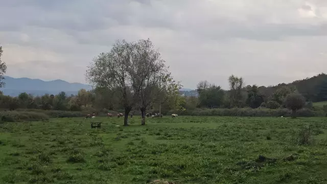 Katil Zanlısı ile İlgili Şok Detaylar