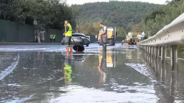 İstanbul'da göle dönen yolda yaban domuzu boğuldu