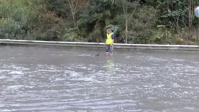 İstanbul'da göle dönen yolda yaban domuzu boğuldu