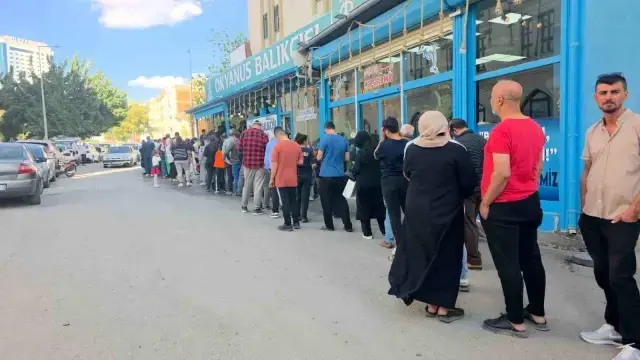 Şanlıurfa'da Ucuz Hamsi Kampanyası Vatandaşı Sevindirdi